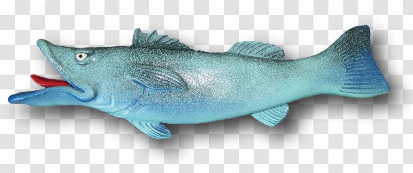 Fauna Fish Barramundi Turquoise Mammal - Red Claw Crawfish Transparent PNG