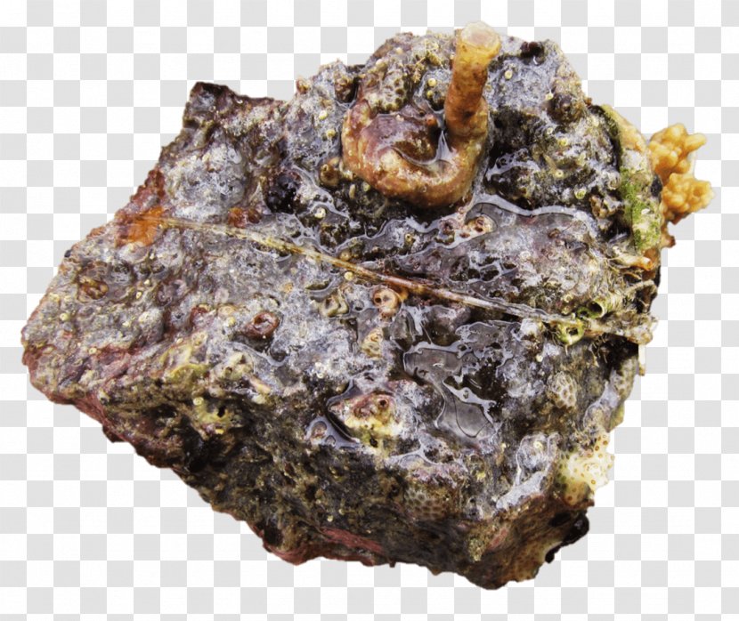 Mineral Igneous Rock - Nano Aquarium Transparent PNG