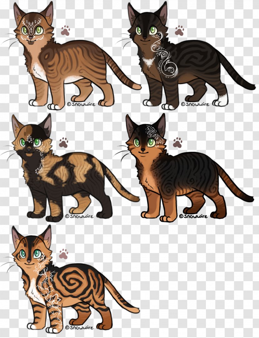 Toyger Sokoke Whiskers Kitten Domestic Short-haired Cat - Cartoon Transparent PNG