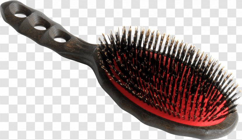 Comb Brush Bristle Hair Wild Boar - Air Transparent PNG