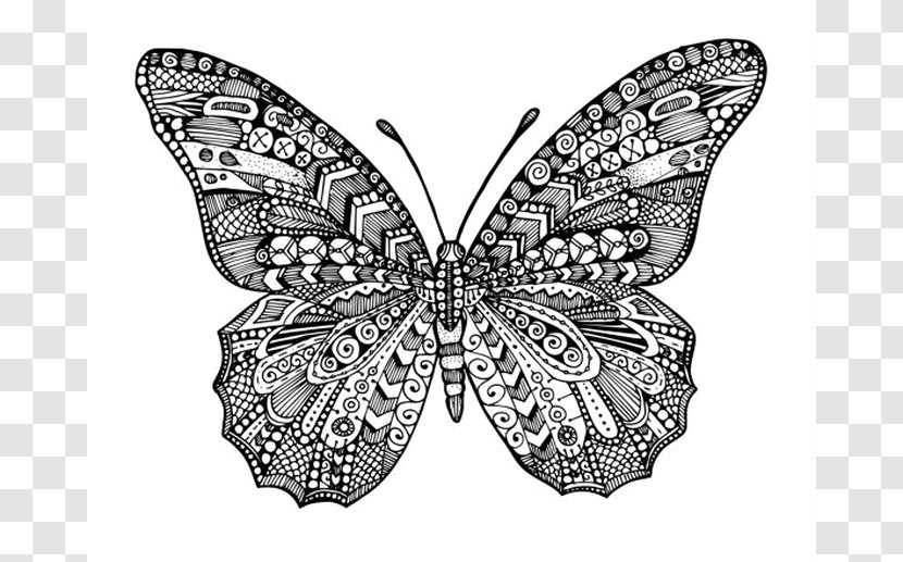 Monarch Butterfly Coloring Book Drawing - Monochrome Transparent PNG