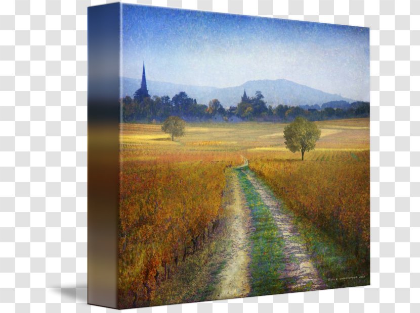 Ecosystem Nature Painting Meadow Grasses - Grassland - Anne Amie Vineyards Transparent PNG