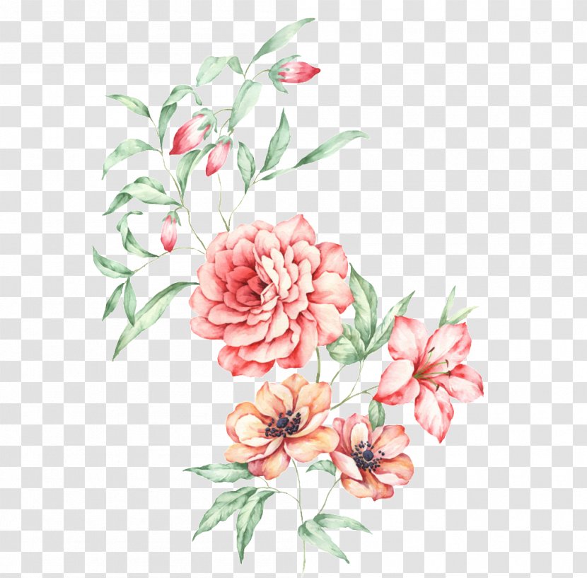 Image Poster Vector Graphics Illustration - Floral Design - Advice Watercolor Transparent PNG