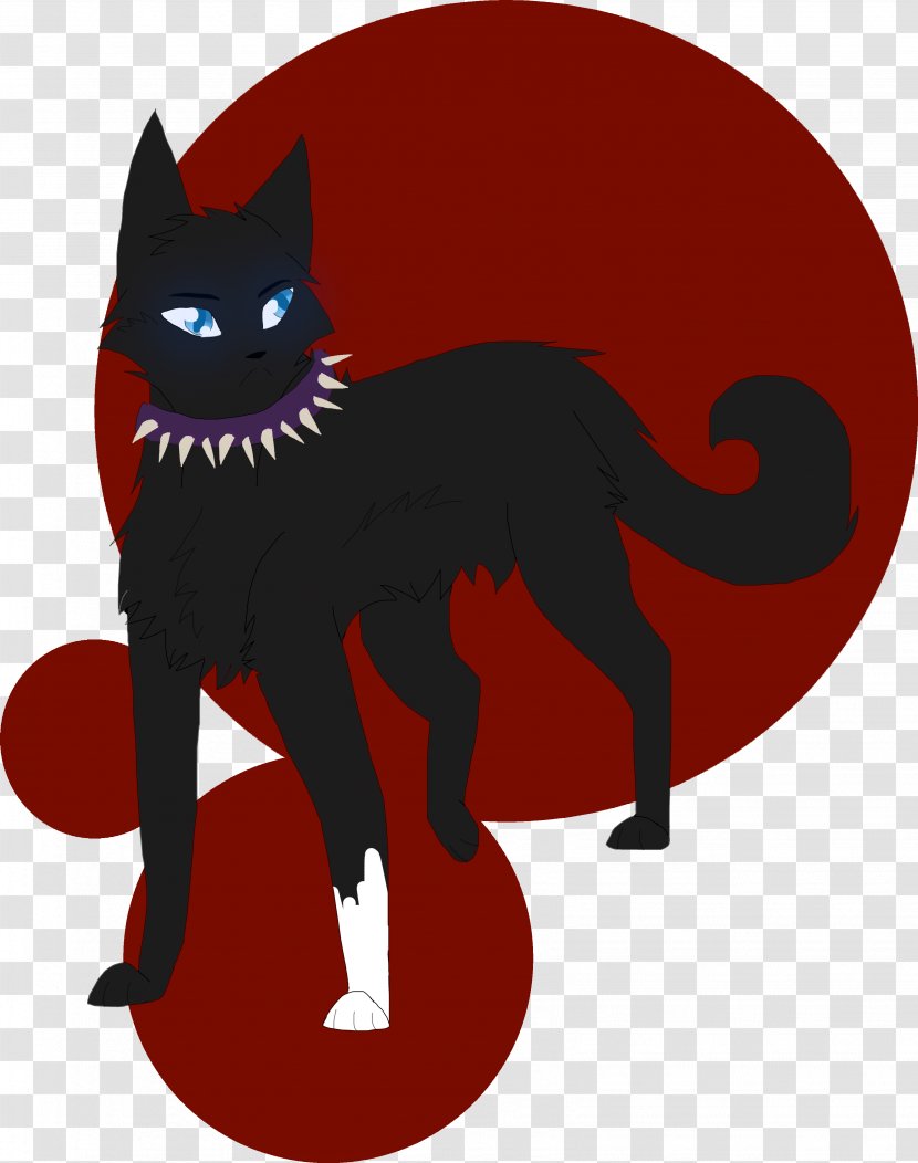 Black Cat Kitten Whiskers Domestic Short-haired - Supernatural - Storm Feather Color Transparent PNG
