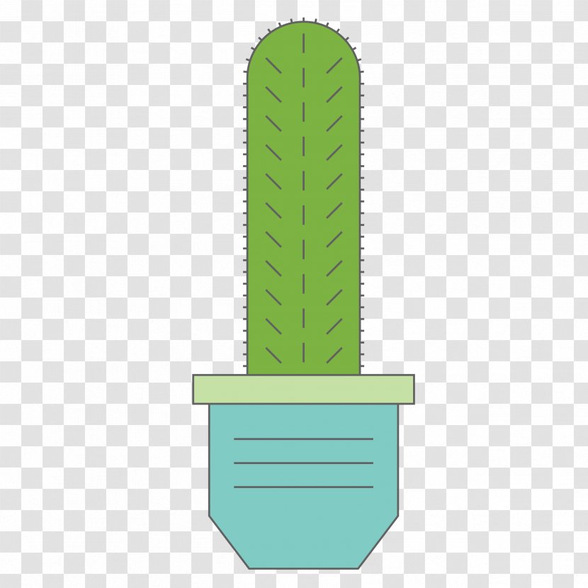 Cactaceae Succulent Plant Houseplant - Green - Cactus Potted Material Transparent PNG