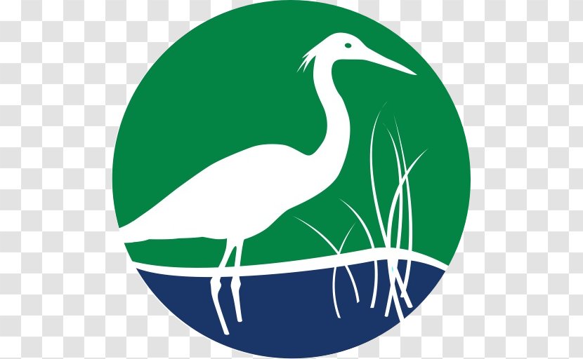 Floridas Water & Land Legacy Crane Matt Wing Court Galt Mile Bird - Like Transparent PNG
