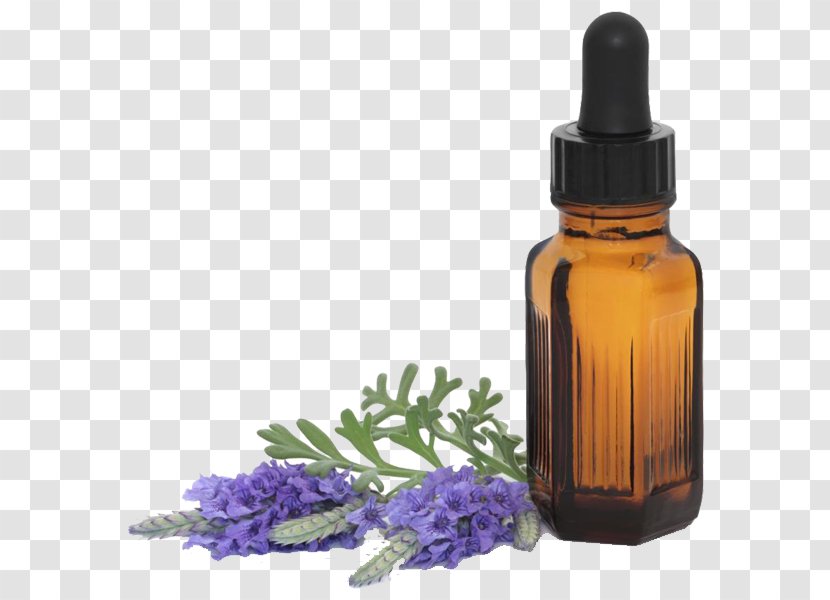 Essential Oil Aromatherapy Lavender - Cosmetics Transparent PNG