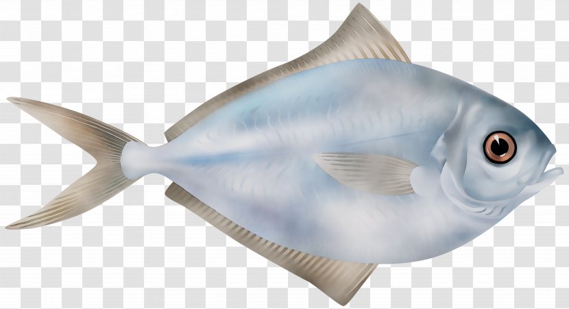 Marine Biology Mammal Milkfish - Bonyfish Transparent PNG