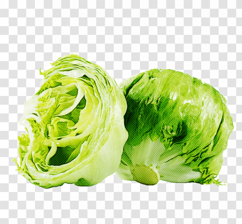 Vegetable Leaf Vegetable Cabbage Iceburg Lettuce Food Transparent PNG