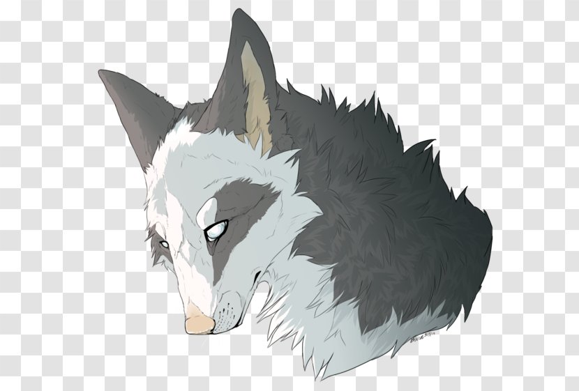 Whiskers Cat Dog Canidae - Head Transparent PNG