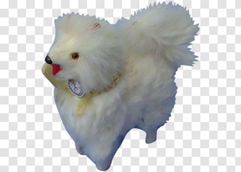 Pomeranian Samoyed Dog Breed Snout Fur Transparent PNG