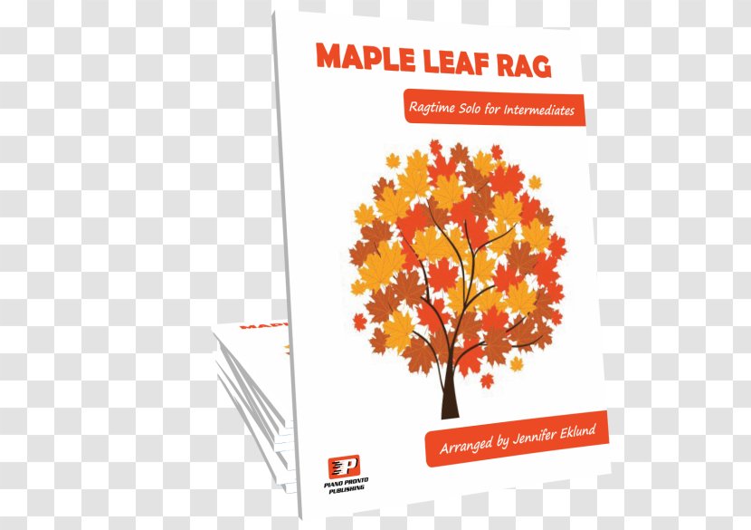 Drawing Tree Red Maple Autumn Transparent PNG