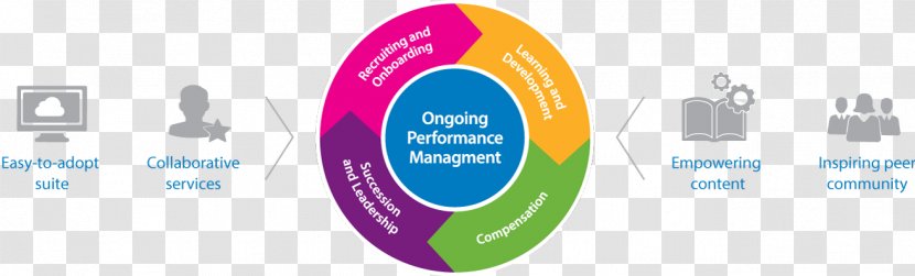 Organization Talent Management System Performance Transparent PNG