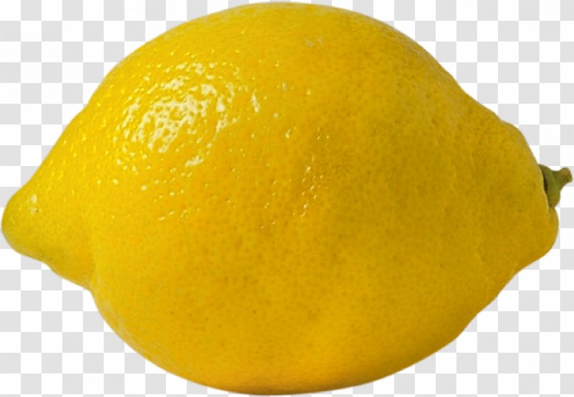 Lemon Mandarin Orange Tangelo Rangpur Lime - Citrus Transparent PNG