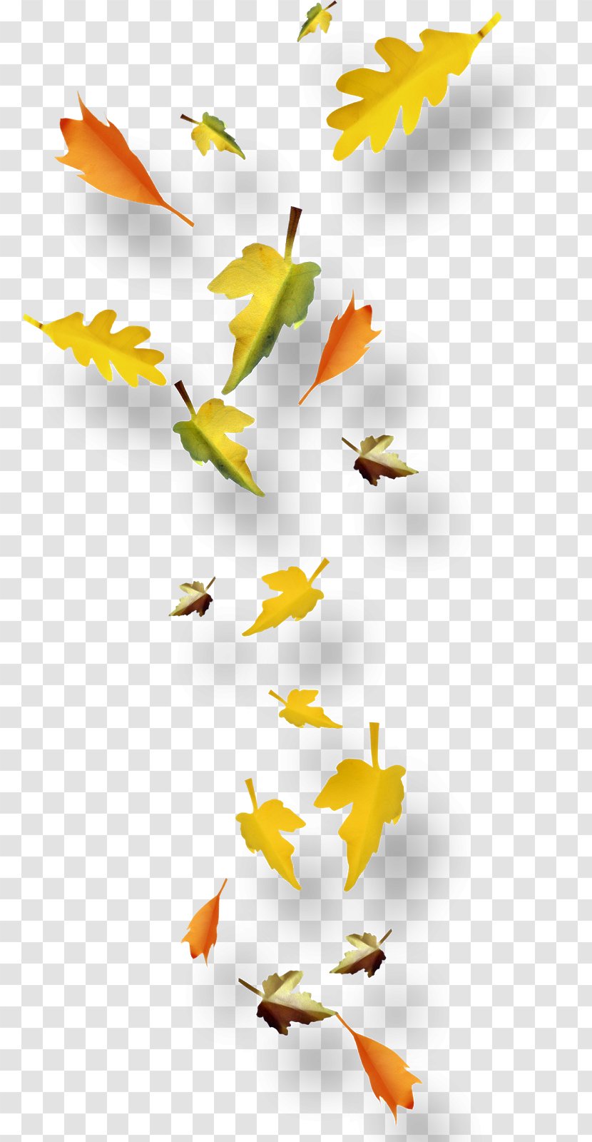 Autumn Leaf Clip Art Transparent PNG