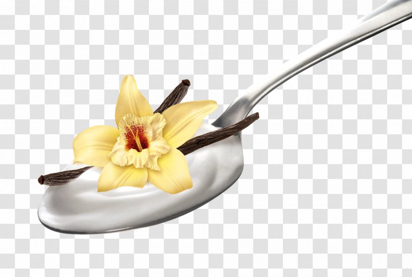 Milk Yoghurt Vanilla Flavor Extract - Rich Flowers Transparent PNG