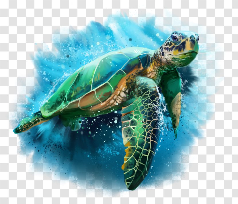 Turtle Drawing Watercolor Painting Cheloniidae - Blue Sea Transparent PNG