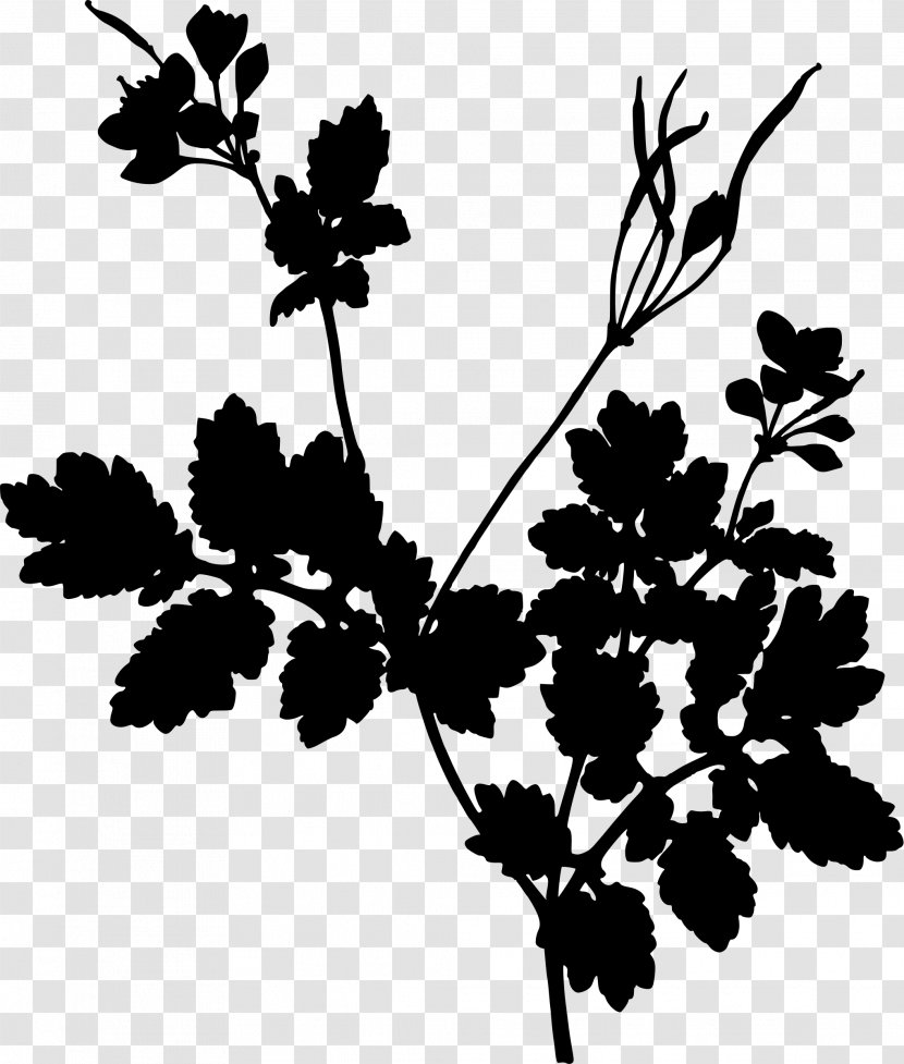 Greater Celandine Herb Medicinal Plants Book - Petal Transparent PNG