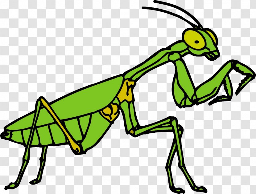Clip Art Insect Mantis Openclipart Free Content Transparent PNG