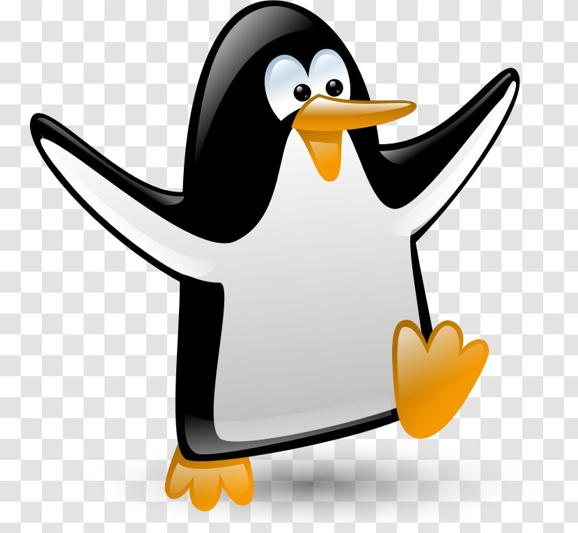 Penguin Razorbills Desktop Wallpaper Clip Art - Bird Transparent PNG
