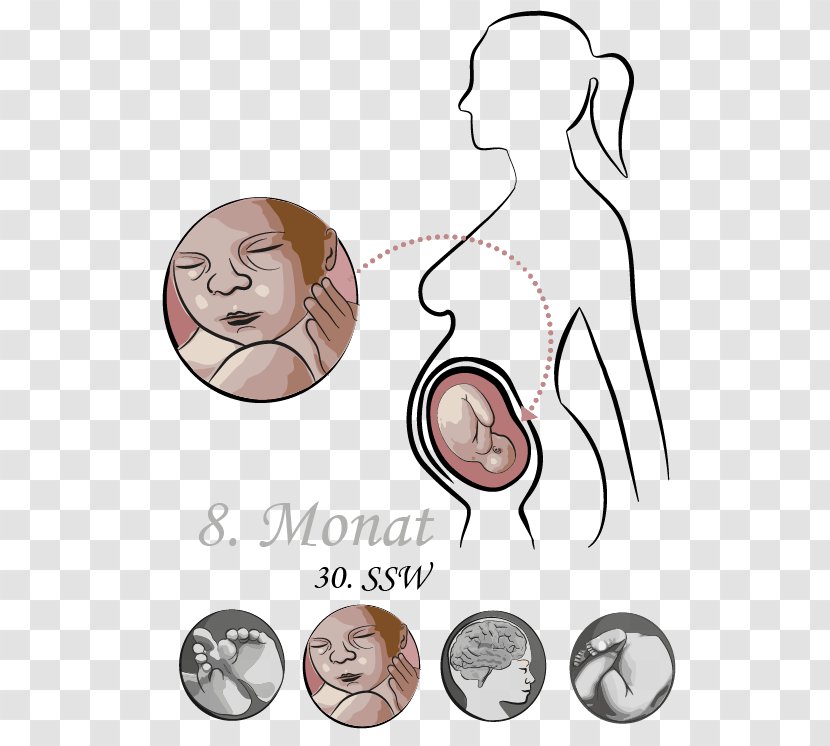 Month Pregnancy Week Academic Quarter Pre-labor - Heart - Babys Transparent PNG