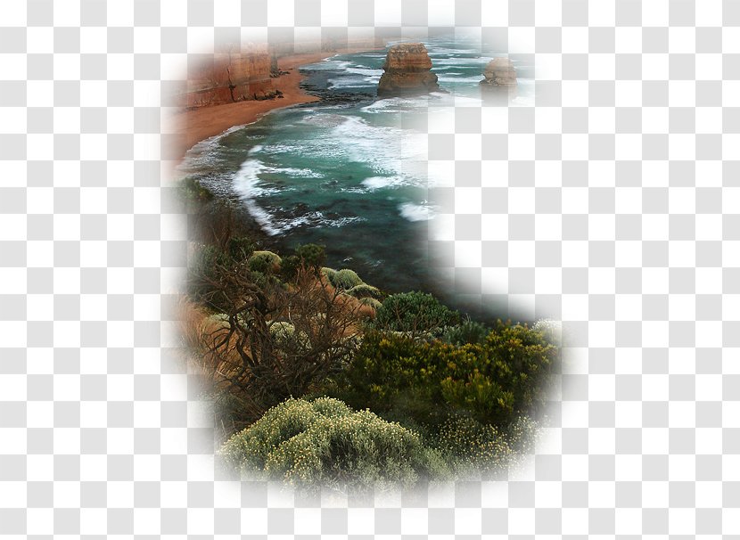 Desktop Wallpaper Sea - Watercourse - Advertising Transparent PNG