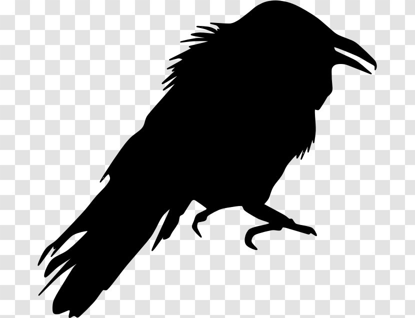 Crow Bird Silhouette Clip Art - Feather Transparent PNG