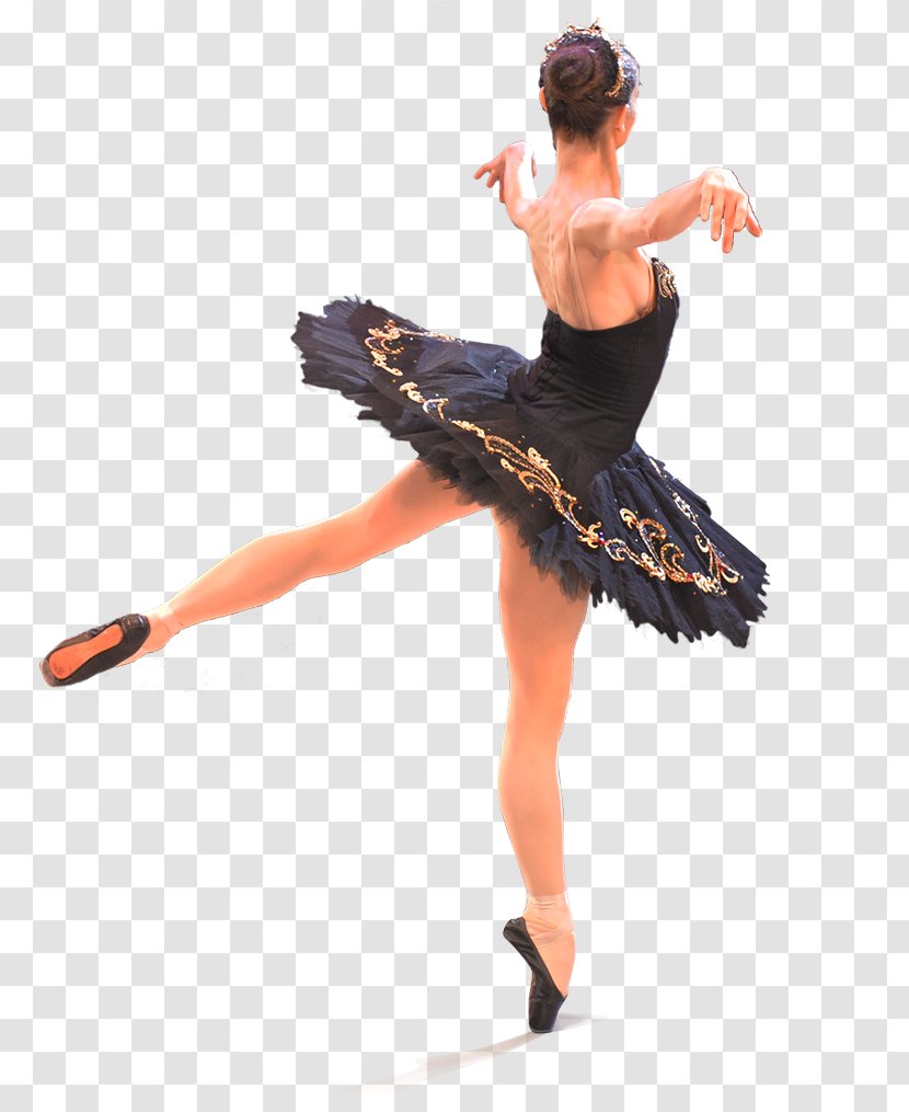 Ballet リサマリアブリティッシュバレエアーツ Choreographer Dance Tutu - Frame Transparent PNG