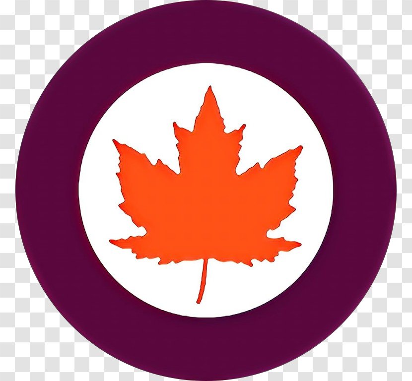 Canada Maple Leaf - Canadian Armed Forces - Symbol Transparent PNG