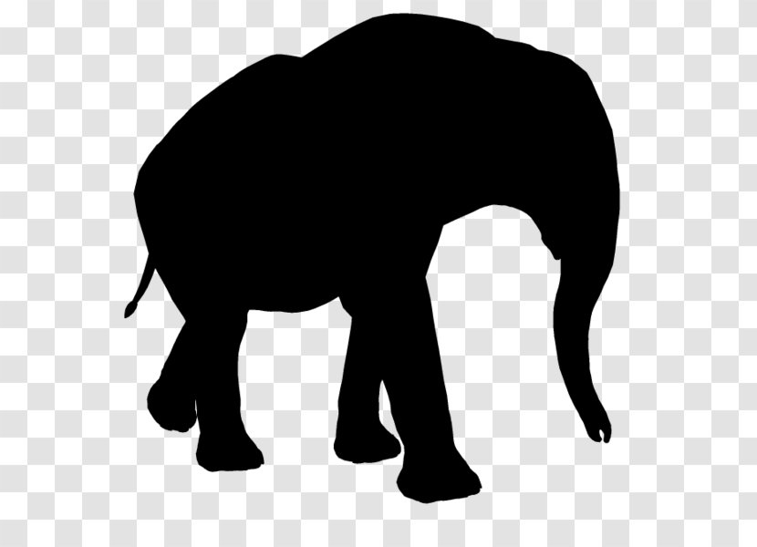 Indian Elephant African Vector Graphics Illustration - Mammal - Mane Transparent PNG