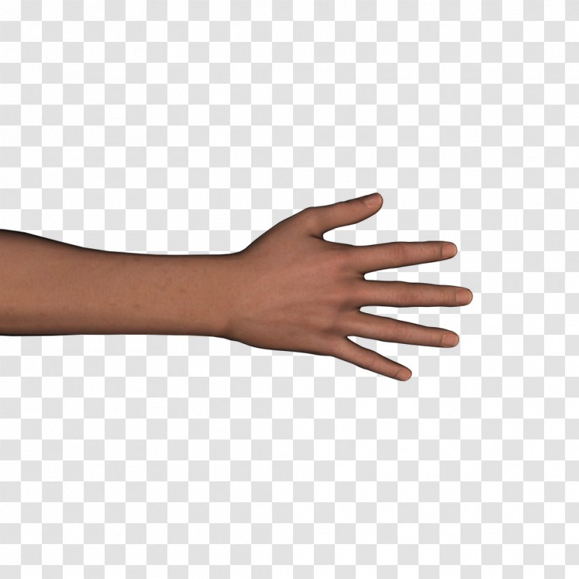 Thumb Hand Walking Arm - Model Transparent PNG