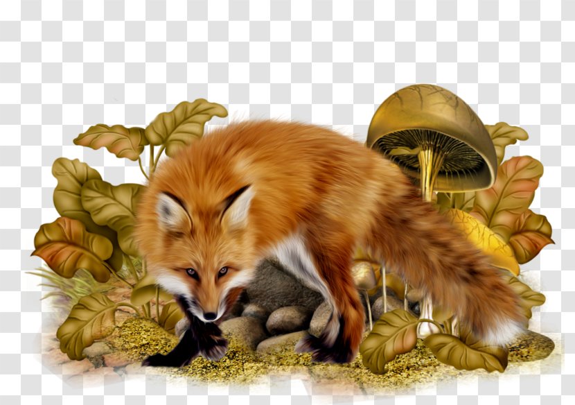 Autumn Cartoon - Fennec Fox - Dhole Transparent PNG