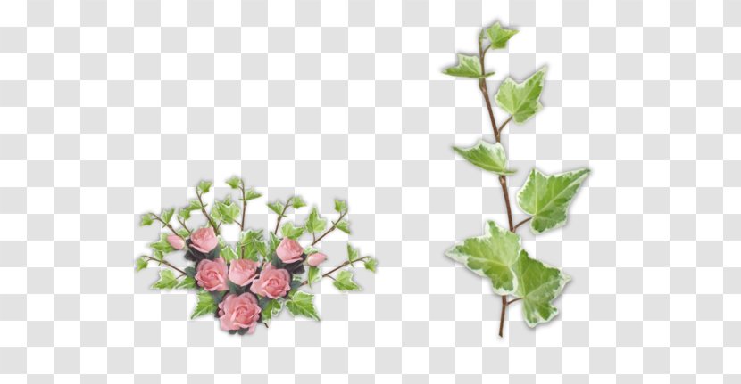 Flowerpot Plant Stem Leaf - Flowering - Flower Transparent PNG