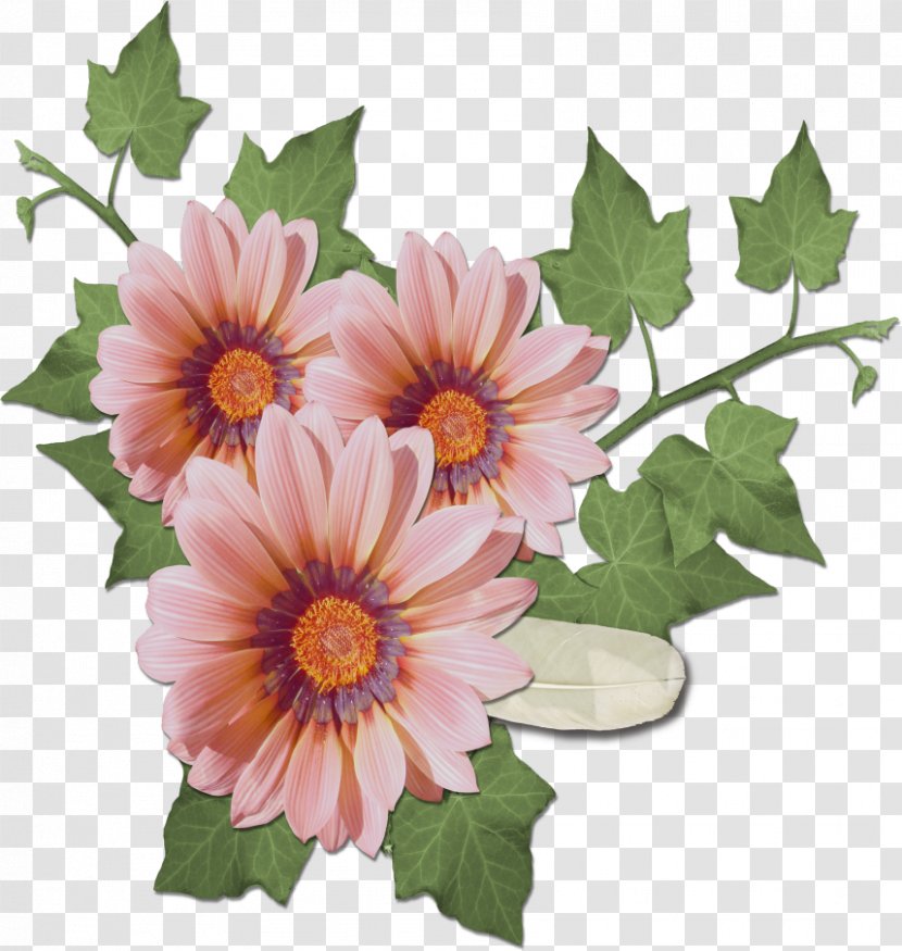 Floral Design Flower Clip Art - Matter Transparent PNG