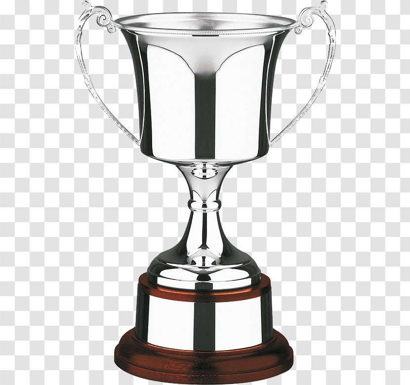 Trophy Medal Cup Award Commemorative Plaque - Salver Transparent PNG