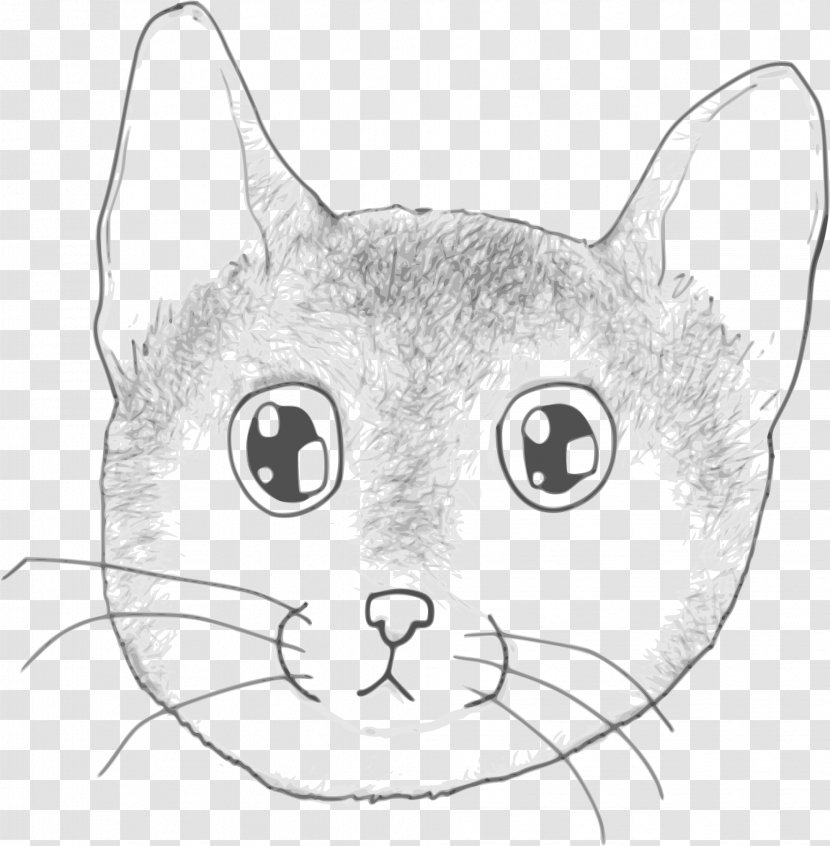 Line Art Kitten Cat Drawing - Snout Transparent PNG