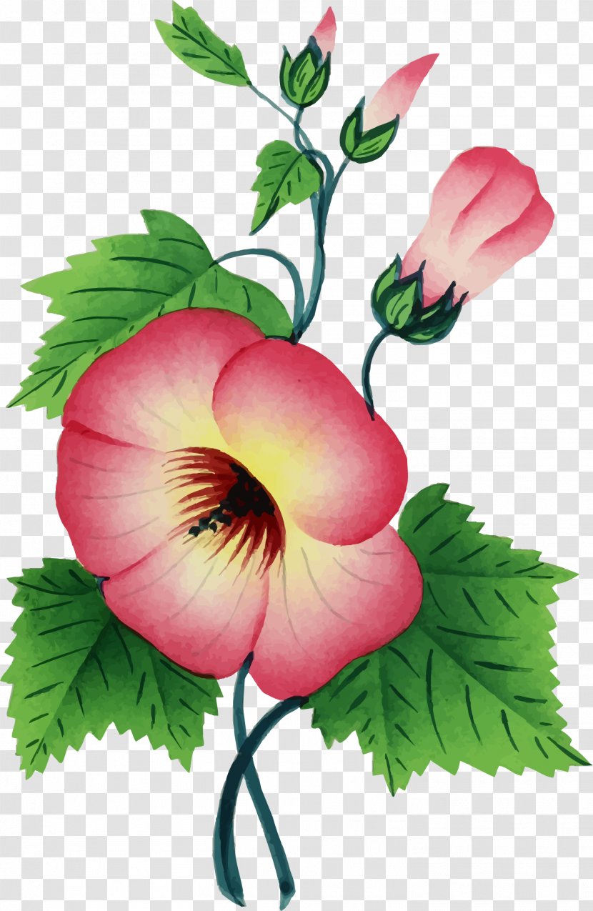 Vector Graphics Flower Illustration Clip Art Floral Design - Annual Plant Transparent PNG