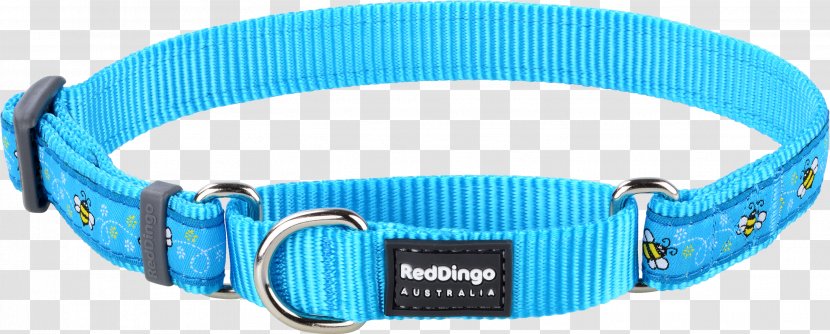 Dingo Dog Collar Martingale Leash - Turquoise - Red Transparent PNG