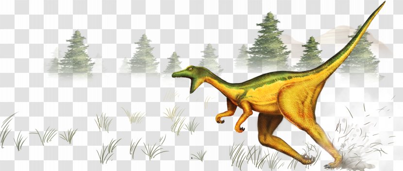 Dinosaur Cartoon Bizi Prehistoriko Illustration - Organism - Dinosaurs Transparent PNG
