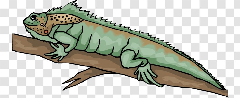 Reptile Lizard Chameleons Snake Clip Art - Fauna - Cliparts Transparent PNG