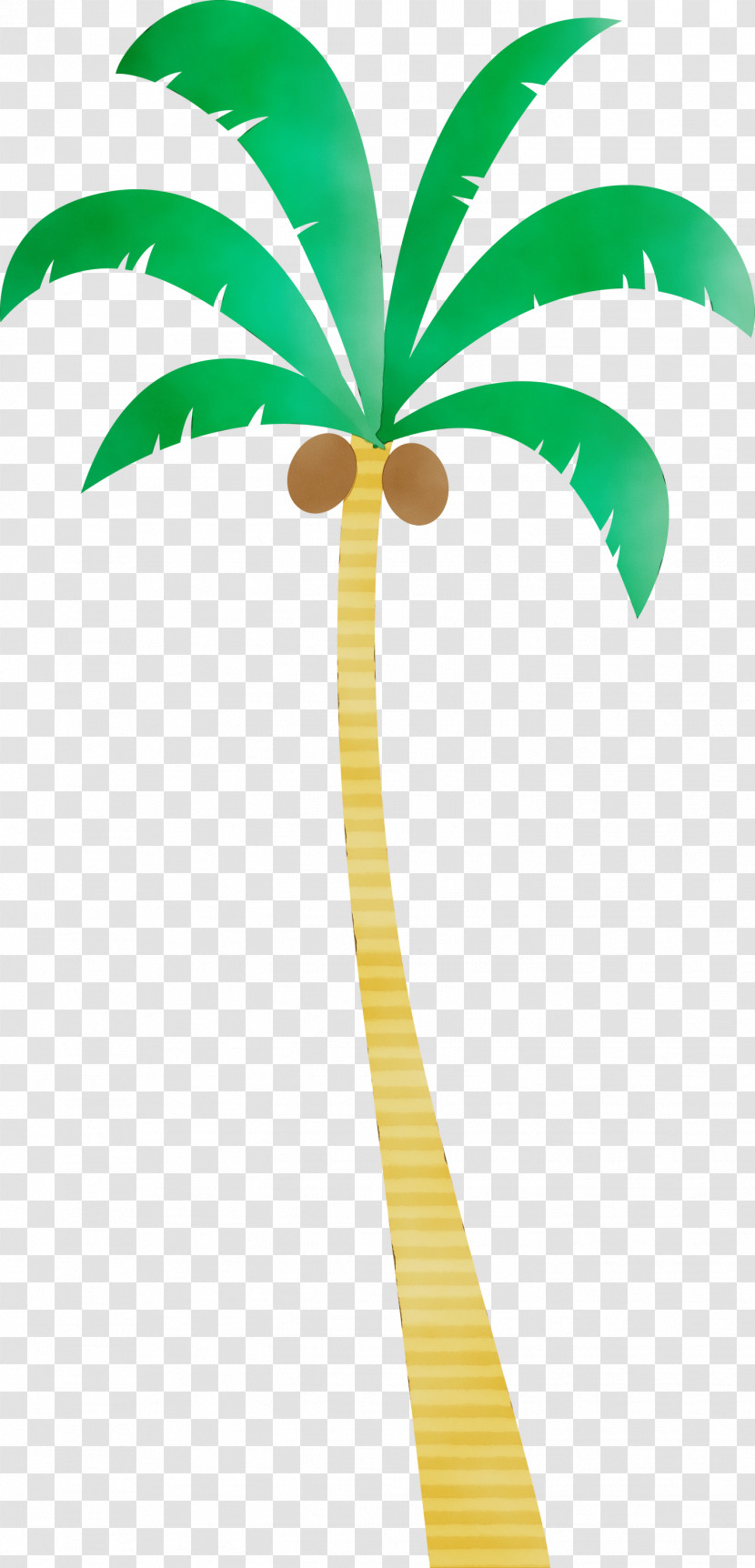 Palm Trees Transparent PNG