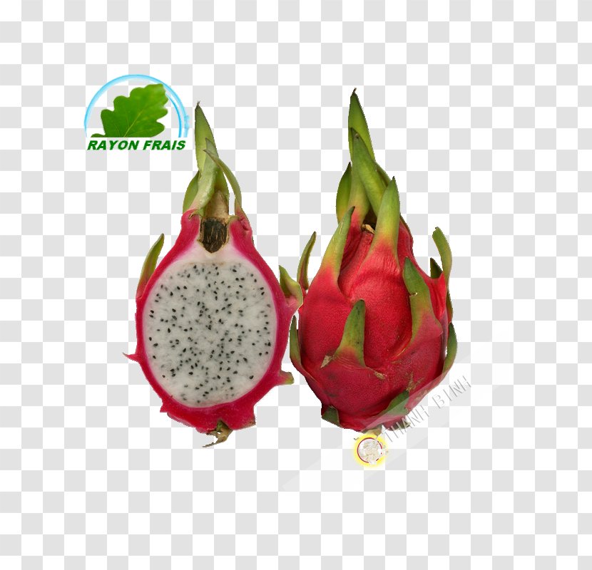 Pitaya White-fleshed Pitahaya Fruit Juice Food Transparent PNG