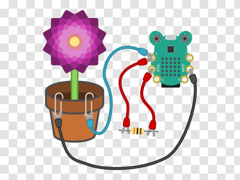 Water Detector Plant Flowerpot - Flower - Activity Transparent PNG