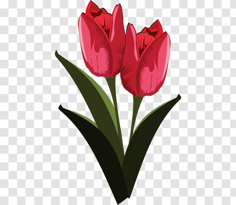 Flower Clip Art - Red Transparent PNG
