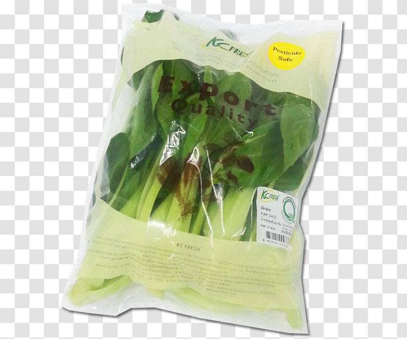 Spring Greens Choy Sum Herb Leaf Vegetable - Measure Thai Transparent PNG