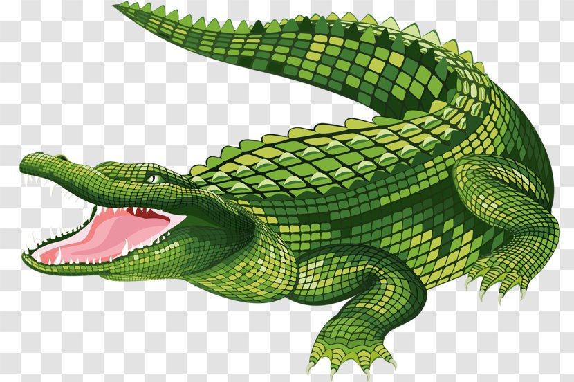 Vector The Crocodile Alligator Clip Art - Saltwater - Mouth Transparent PNG