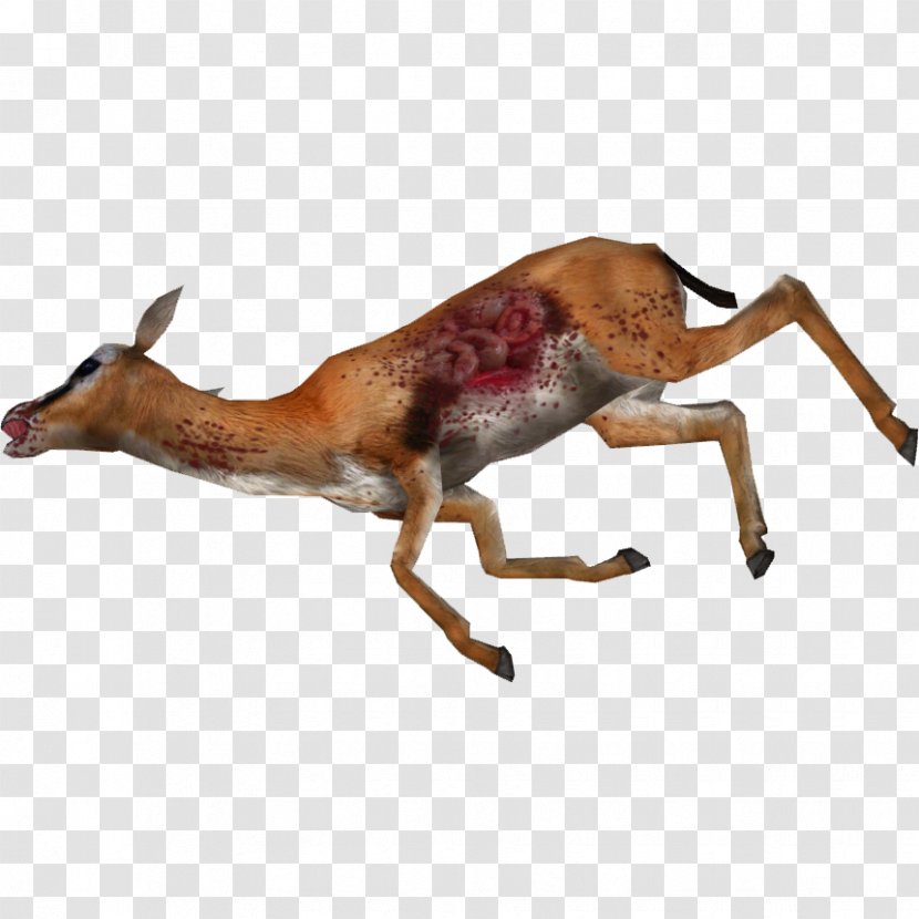 Impala Gazelle Deer Antelope Death - Roan Transparent PNG