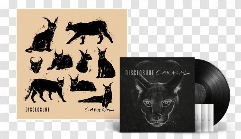 Caracal Compact Disc Disclosure Album Phonograph Record - Cartoon - Booklet Transparent PNG