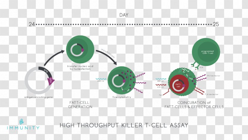 Brand HIV Vaccine Diagram - Hiv - Design Transparent PNG