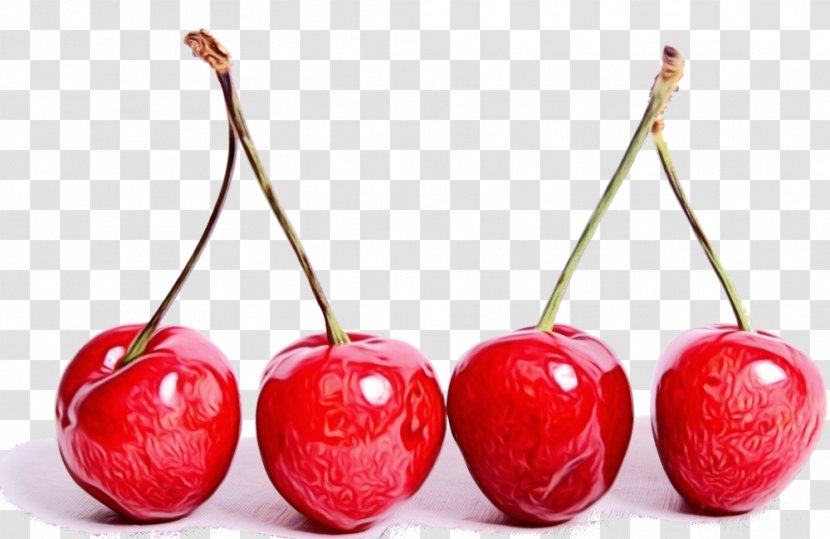 Cherry Fruit Natural Foods Red Plant - Tree - Superfruit Transparent PNG